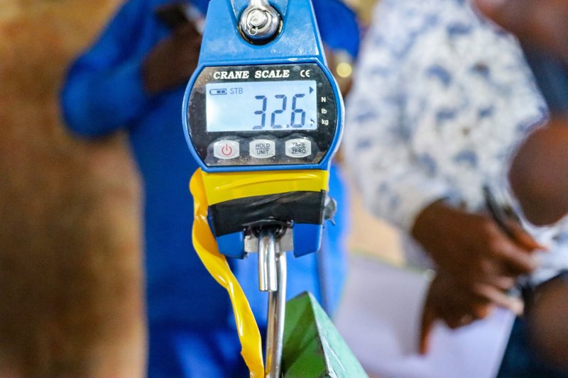 a faulty weighing scale busted during the operation.