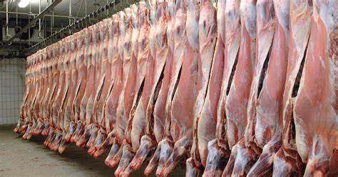 22 Families Hospitalized After Consuming Contaminated Beef
