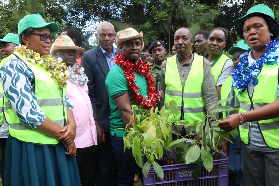 Avocado Seedlings Issued to Farmers in Silibwet and Singorwet Wards Under Climate Action Program