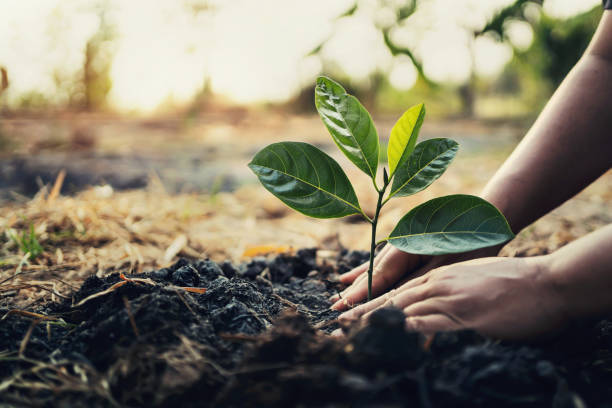 Samburu College Launches Tree Planting Initiative to Support President’s Billion Tree Campaign